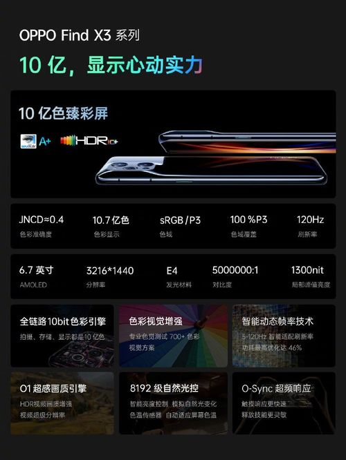 铁算子王中王免费资料大全|探索生活中的智慧与灵感_tool.4.907
