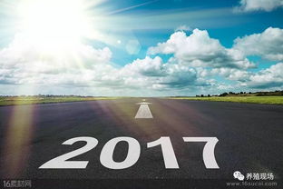 2024澳彩最新资料大全|最新热门解答落实_新视野.3.721