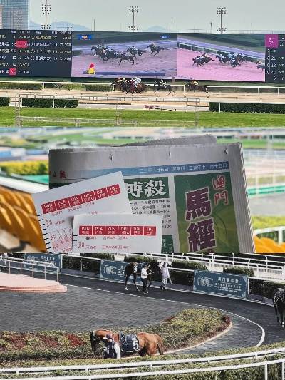 澳门新澳一马中特|实证分析解释落实_RX版.0.442