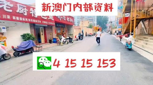 2024澳门天天开好彩大全69|深入分析科技相关成语的内涵_适应款.9.965