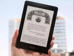 新奥全部开奖记录查询|探索城市中的未知魅力_Kindle.0.323