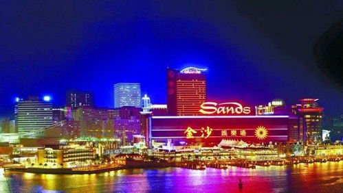 王中王资料大全枓大|独家资源分享助你成长_先锋版.0.340