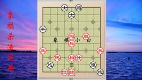2224澳门特马令晚开奖|高效解答解释落实_移动版HS.6.482