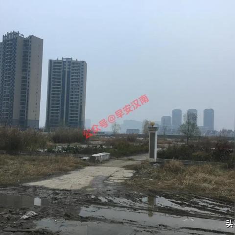 2024年三期内必开一期|实地数据解释落实_电子集.0.23