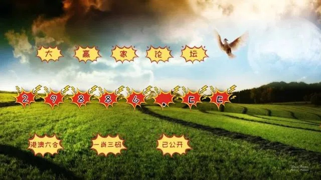 4949澳门资料免费公开2023年|高效解答解释落实_旗舰版2.149