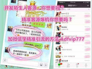 王中王三肖六码精准|探索神秘财富的秘密之旅_AP.6.675