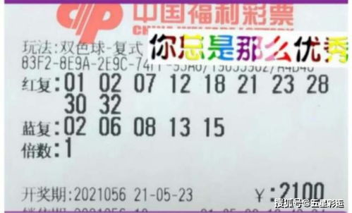 2024澳门今晚必开一肖|清新生活小技巧大公开_正式集.6.227