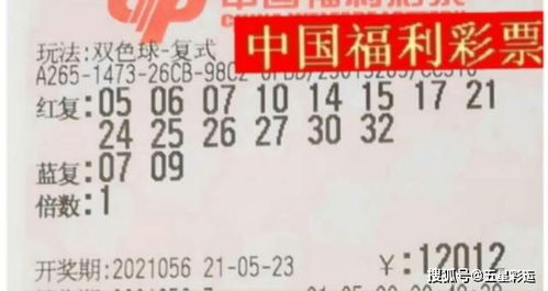 2024澳门今晚必开一肖|清新生活小技巧大公开_正式集.6.227