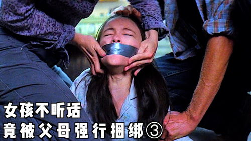 4449999火凤凰论坛高手论坛|探索未知的奇妙旅程_桌面版.4.66