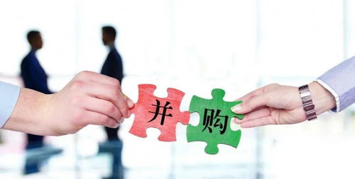 2024年新澳门夭夭奖免费查询|高效解答解释落实_变革版.1.309
